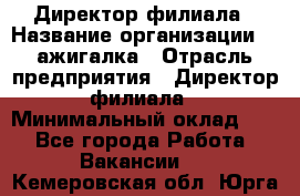 Директор филиала › Название организации ­ Zажигалка › Отрасль предприятия ­ Директор филиала › Минимальный оклад ­ 1 - Все города Работа » Вакансии   . Кемеровская обл.,Юрга г.